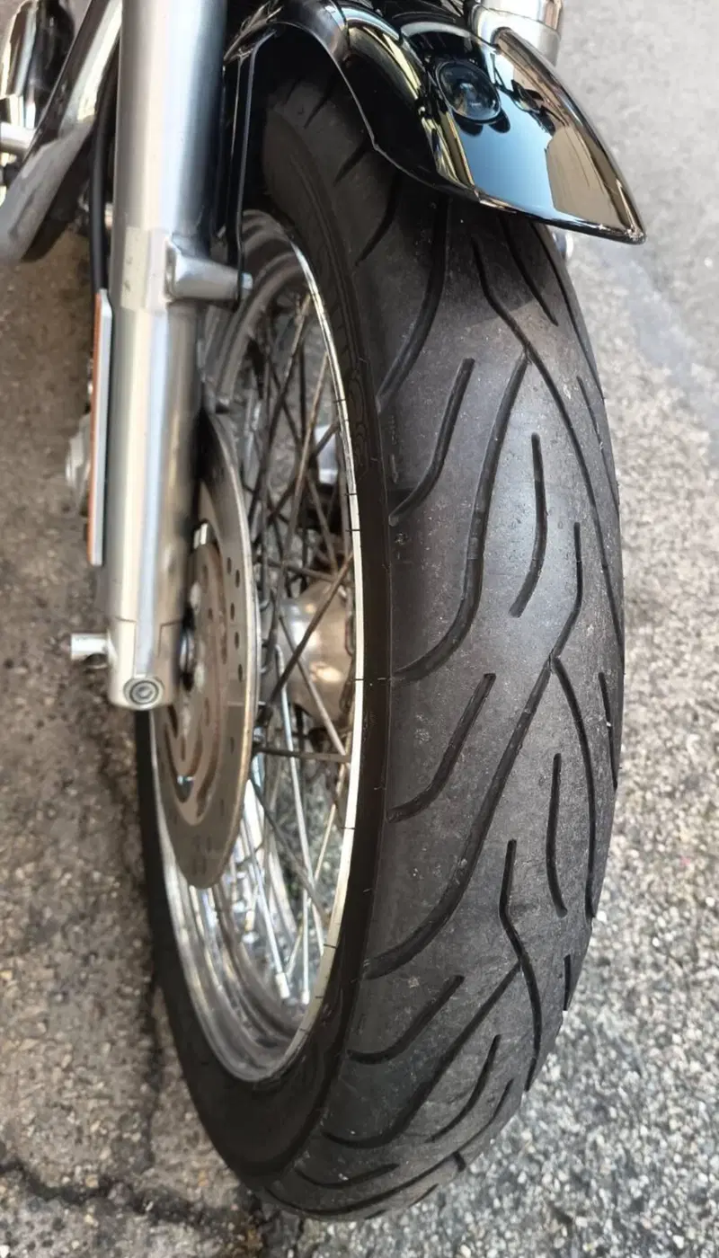Harley-Davidson 1200 Roadster (2002 - 05) - XL 1200R (6)