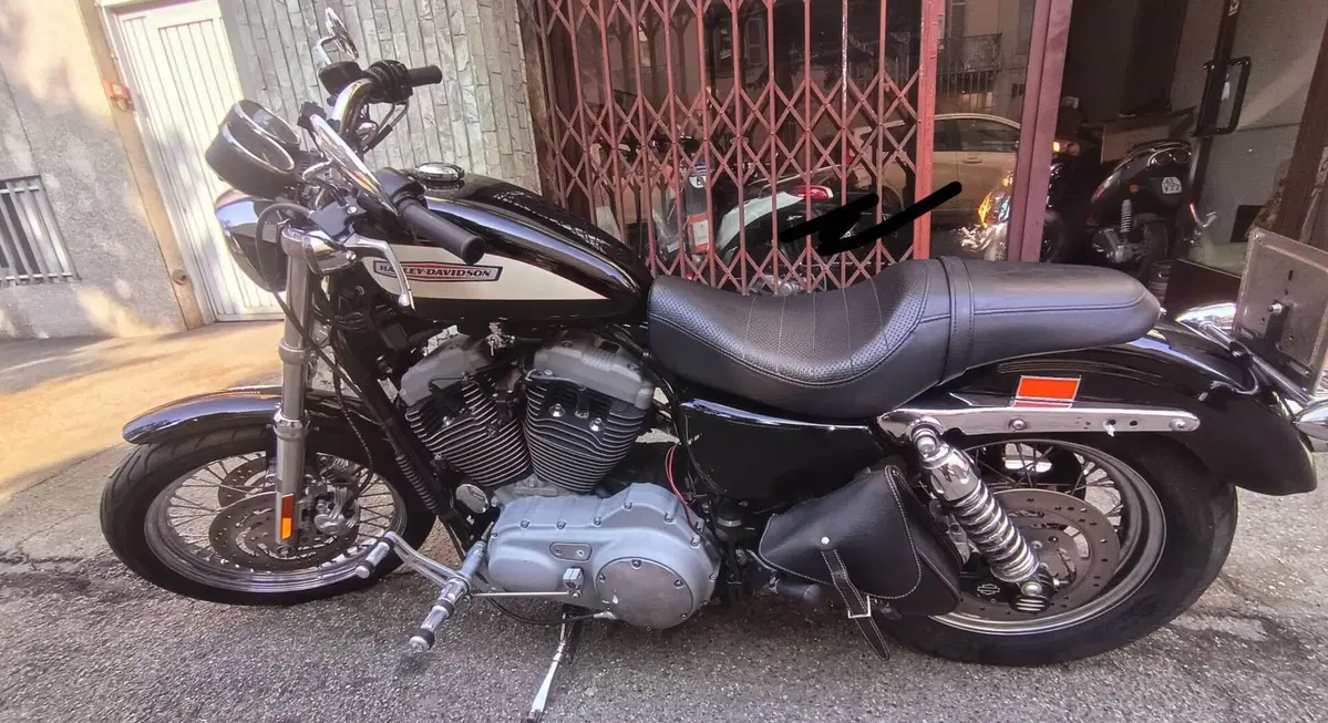 Harley-Davidson 1200 Roadster (2002 - 05) - XL 1200R (7)