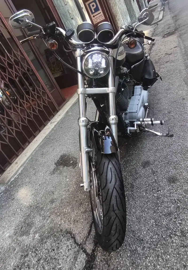 Harley-Davidson 1200 Roadster (2002 - 05) - XL 1200R (8)