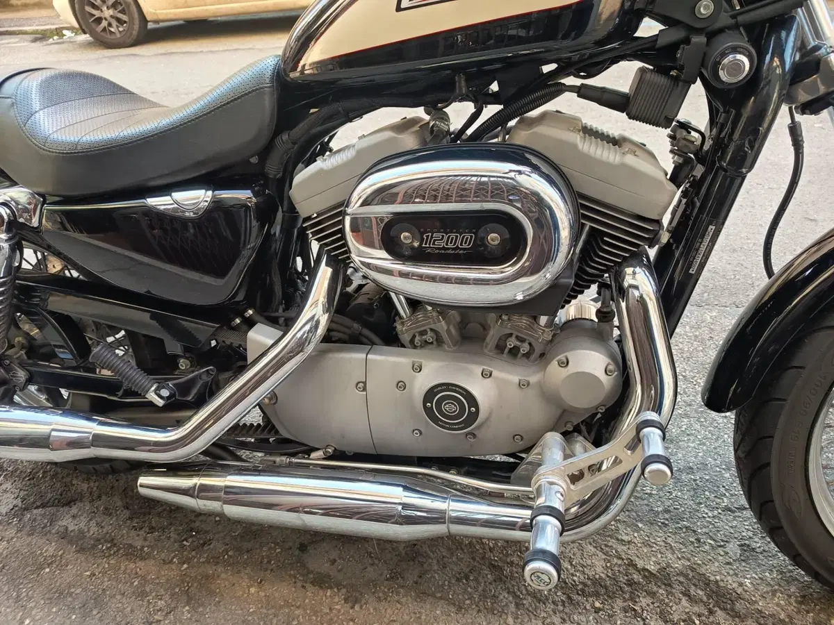 Harley-Davidson 1200 Roadster (2002 - 05) - XL 1200R (12)