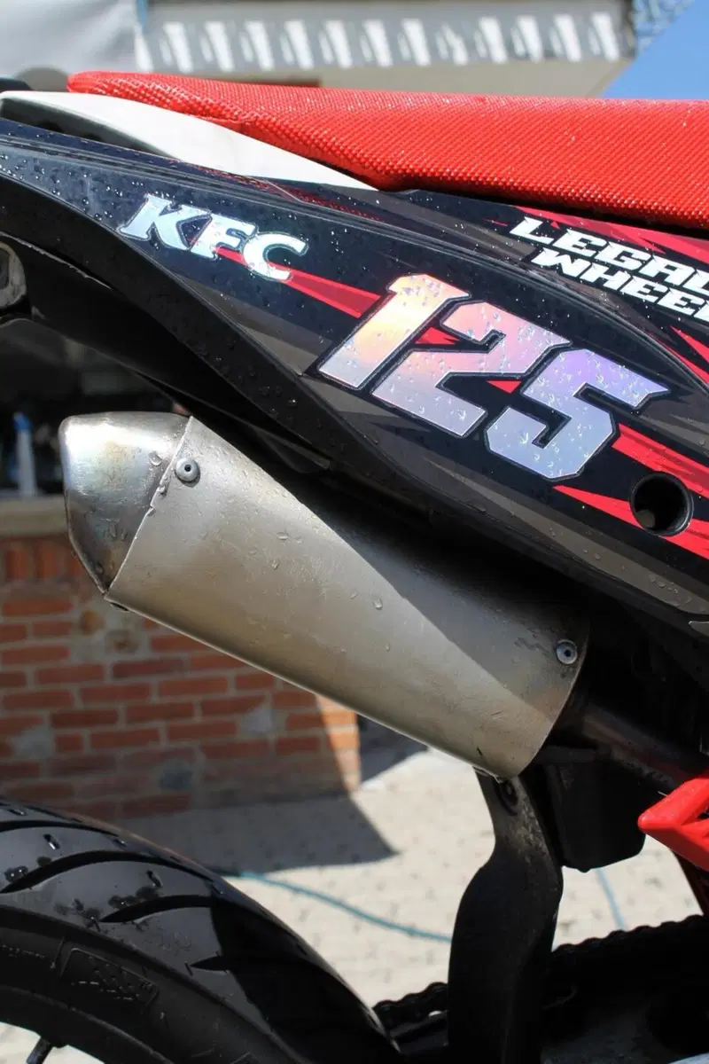 Betamotor RR 125 2T Enduro (2019) (9)