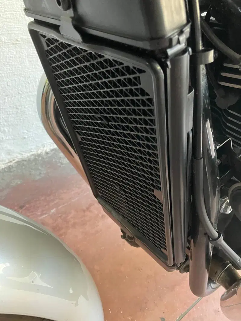 Triumph Bonneville T120 Bud Ekins SE (2020) (9)