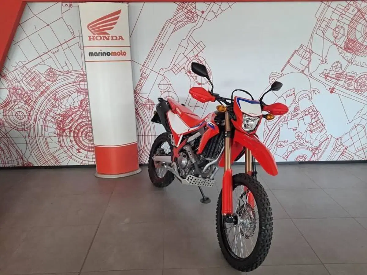 Honda CRF 300L (2021 - 24) (2)