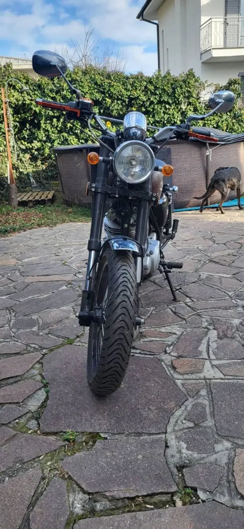 Mash Italia Two Fifty 250 (2014 - 16) (10)