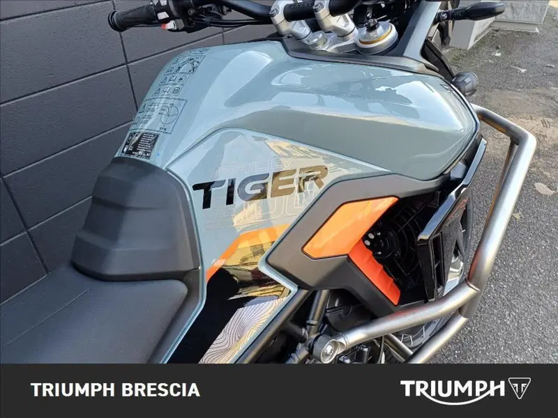 Triumph Tiger 900 Desert Special Edition (2026) (8)