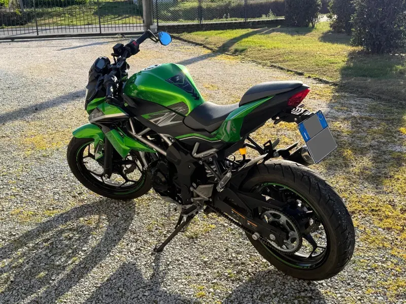 Kawasaki Z 125 (2019 - 20) (3)