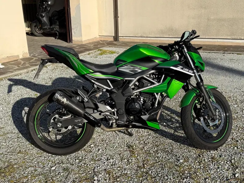 Kawasaki Z 125 (2019 - 20) (6)