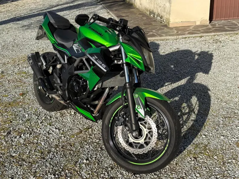Kawasaki Z 125 (2019 - 20) (7)