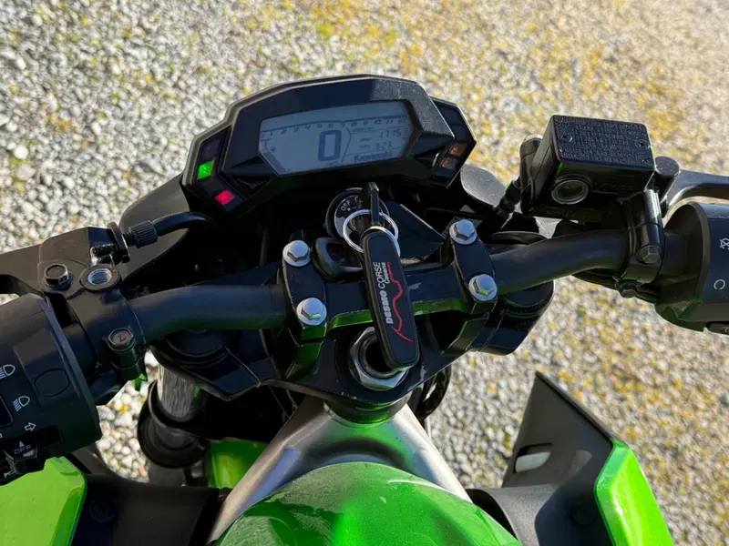 Kawasaki Z 125 (2019 - 20) (8)