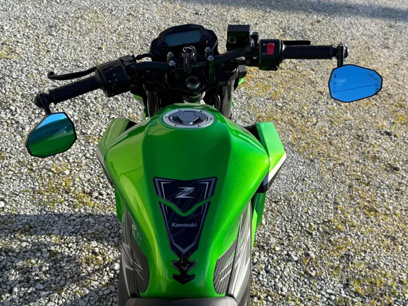 Kawasaki Z 125 (2019 - 20) (9)