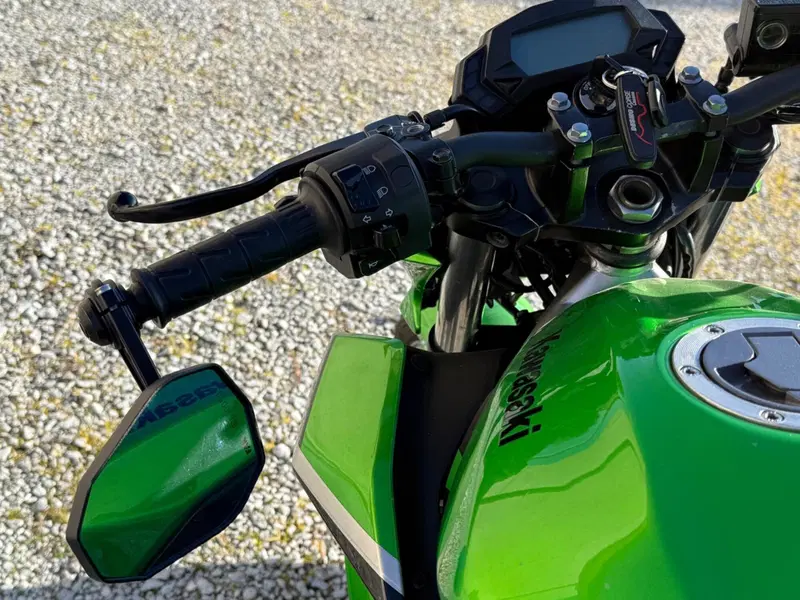 Kawasaki Z 125 (2019 - 20) (11)