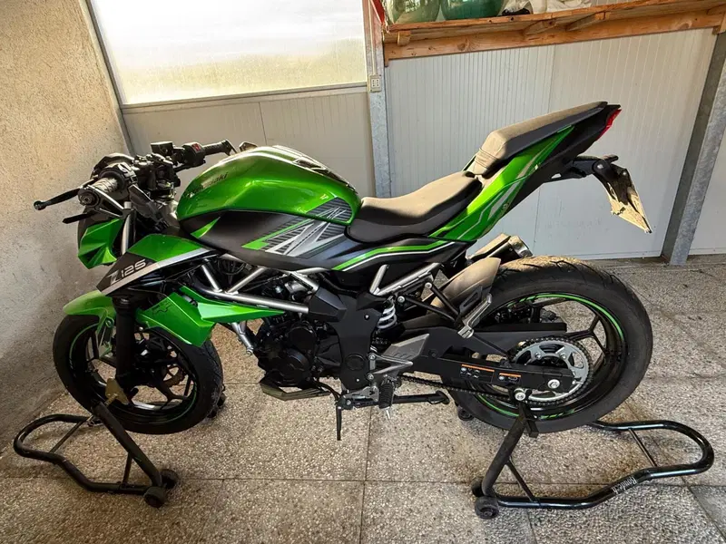 Kawasaki Z 125 (2019 - 20) (14)