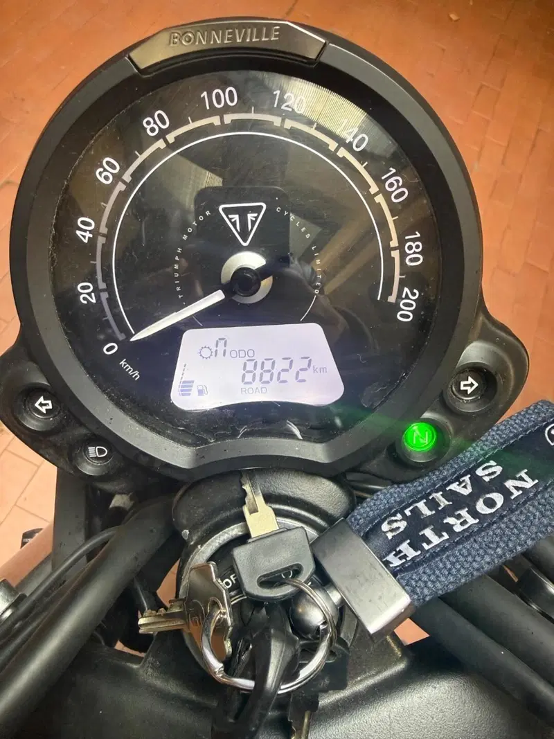 Triumph Street Scrambler 900 (2021 - 22) (7)