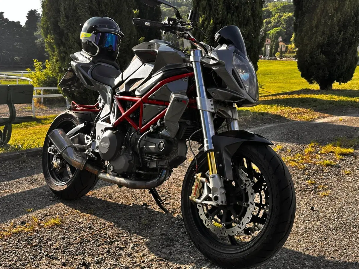 Bimota DB6 Delirio RE (2006 - 15) (8)
