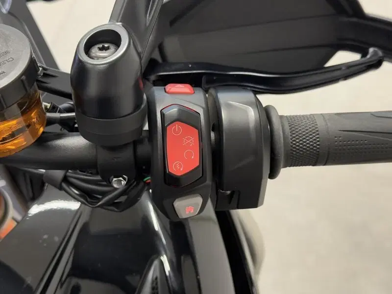 Triumph Tiger 1200 Rally Explorer (2022 - 23) (9)