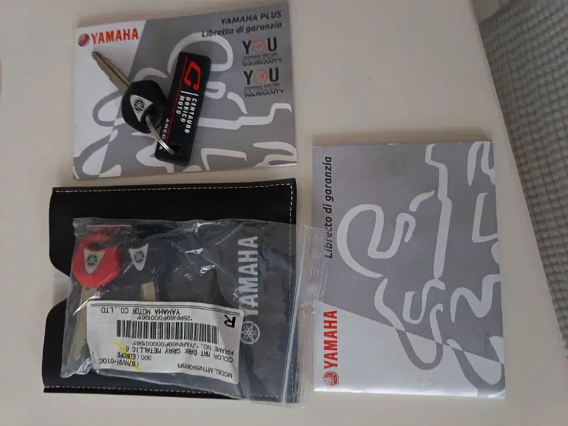 Yamaha MT-09 (2024 - 26) (5)