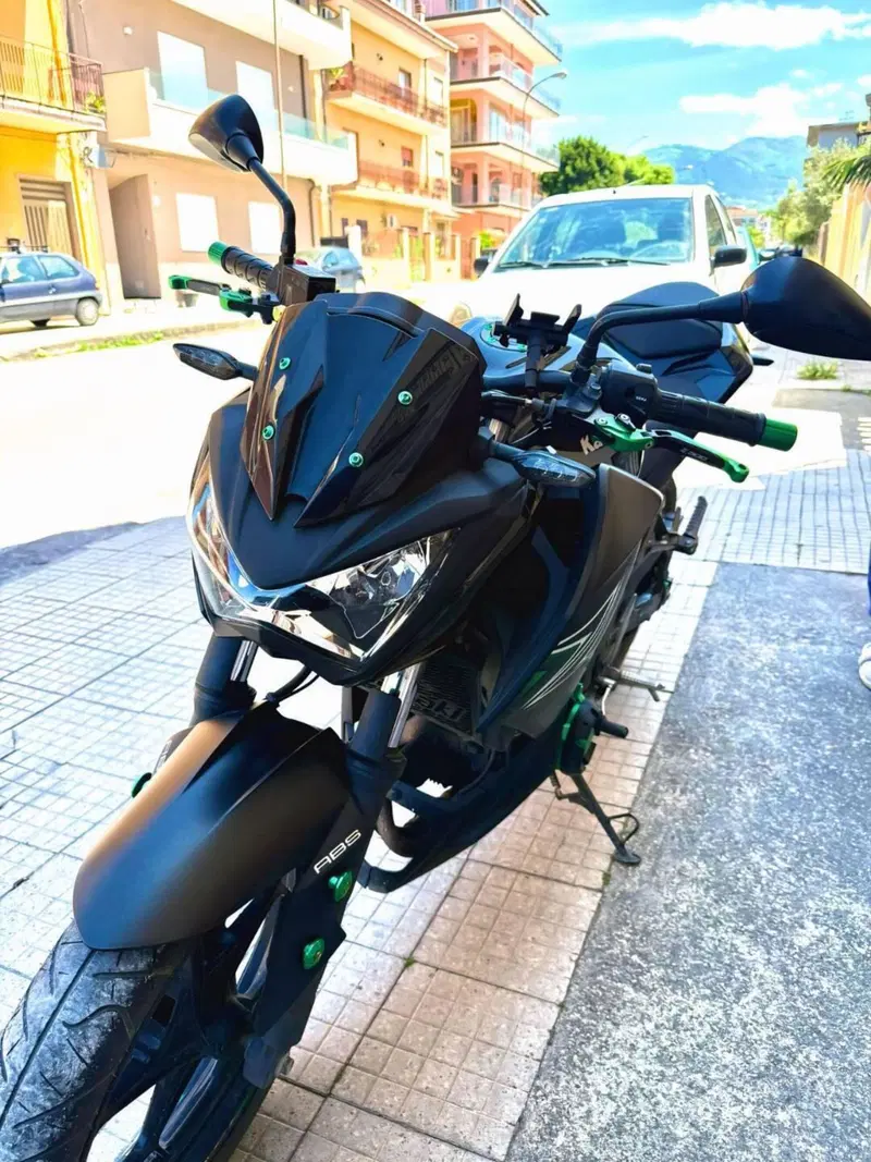 Kawasaki Z 300 ABS (2015 - 16)