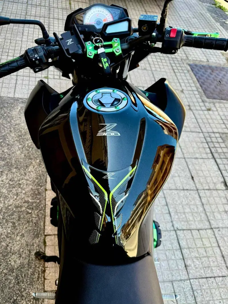 Kawasaki Z 300 ABS (2015 - 16) (2)