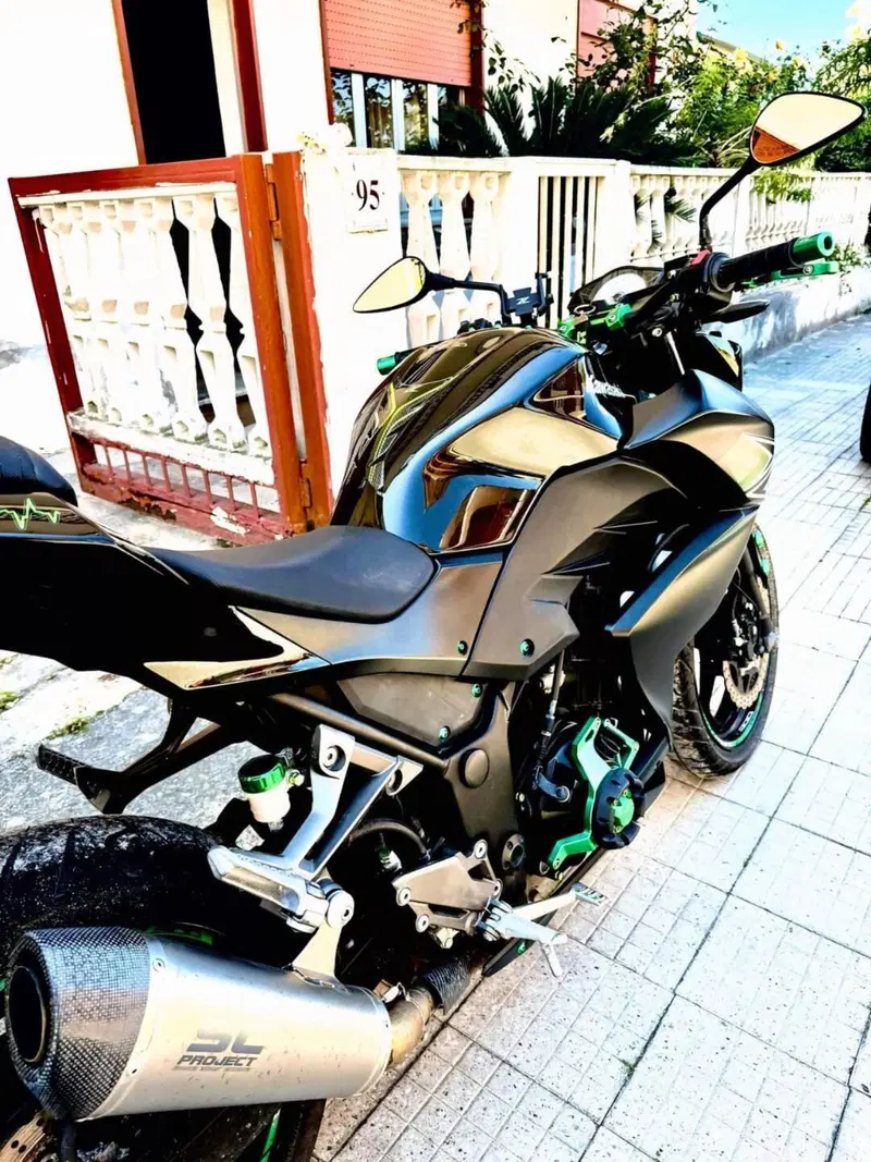 Kawasaki Z 300 ABS (2015 - 16) (3)