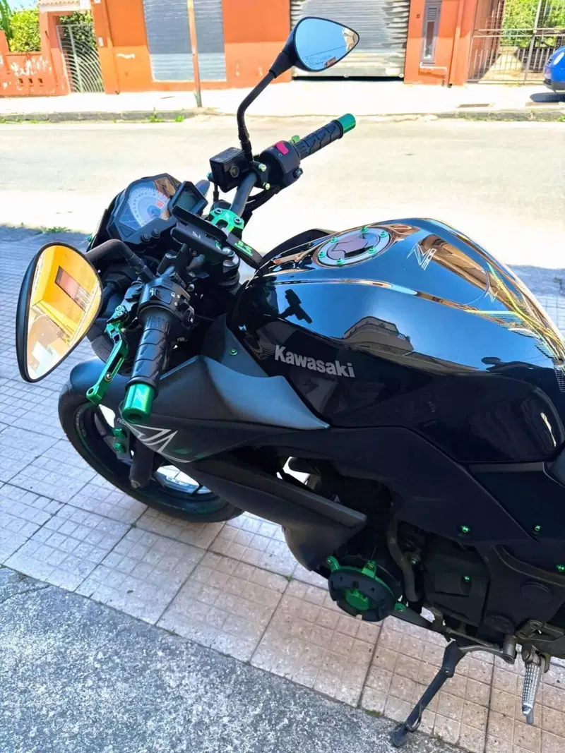 Kawasaki Z 300 ABS (2015 - 16) (4)