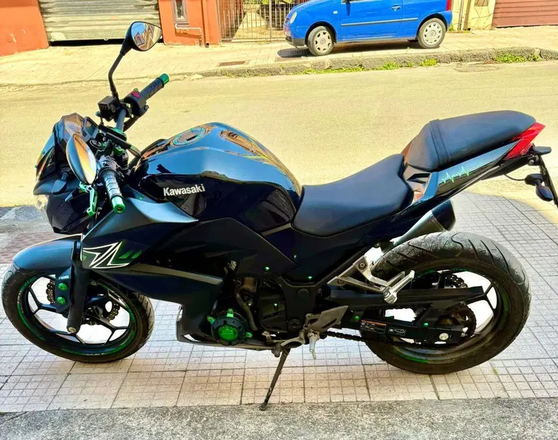 Kawasaki Z 300 ABS (2015 - 16) (6)