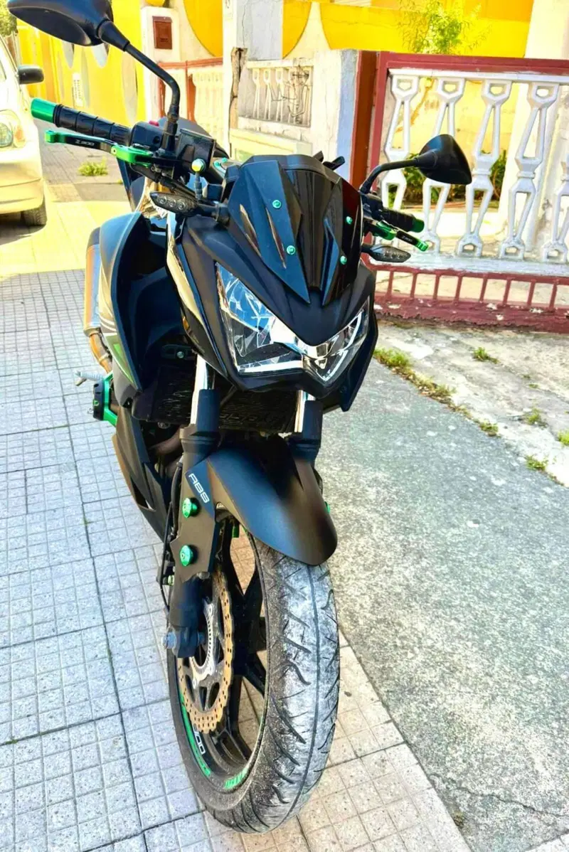 Kawasaki Z 300 ABS (2015 - 16) (7)