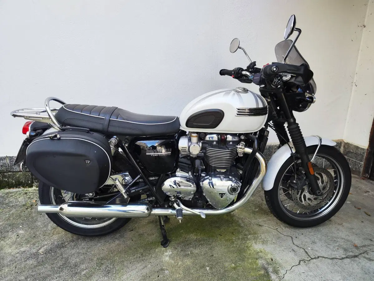 Triumph Bonneville T120 Diamond Edition (2019) (3)