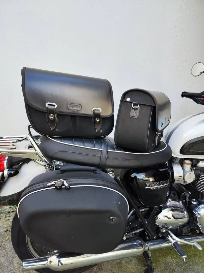 Triumph Bonneville T120 Diamond Edition (2019) (4)