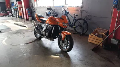 Kawasaki Z 750 (2003 - 06) usata