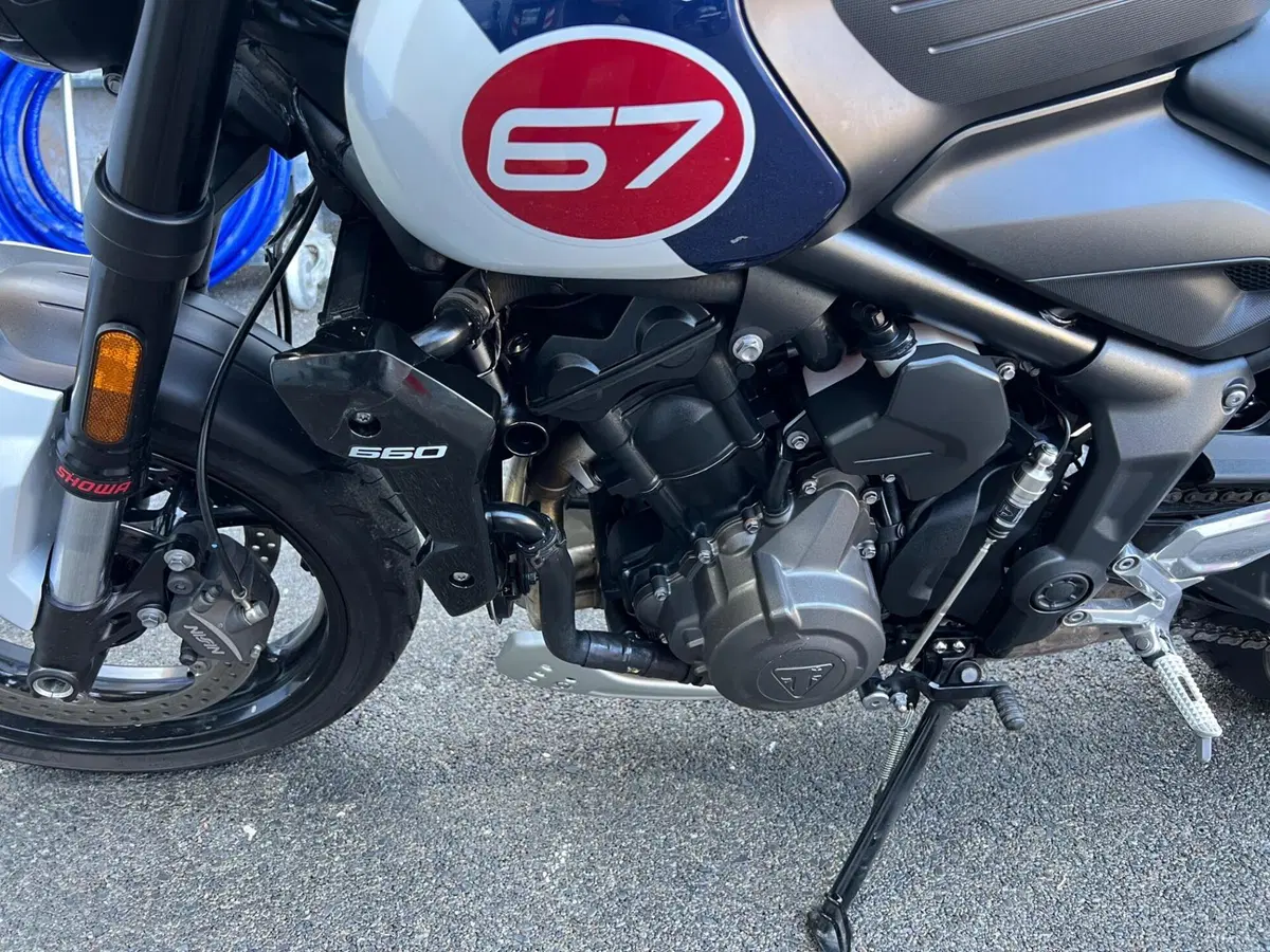 Triumph Trident 660 Triple Tribute Edition (2024) (9)