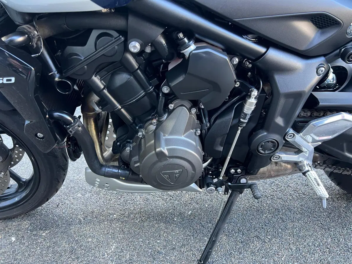 Triumph Trident 660 Triple Tribute Edition (2024) (12)
