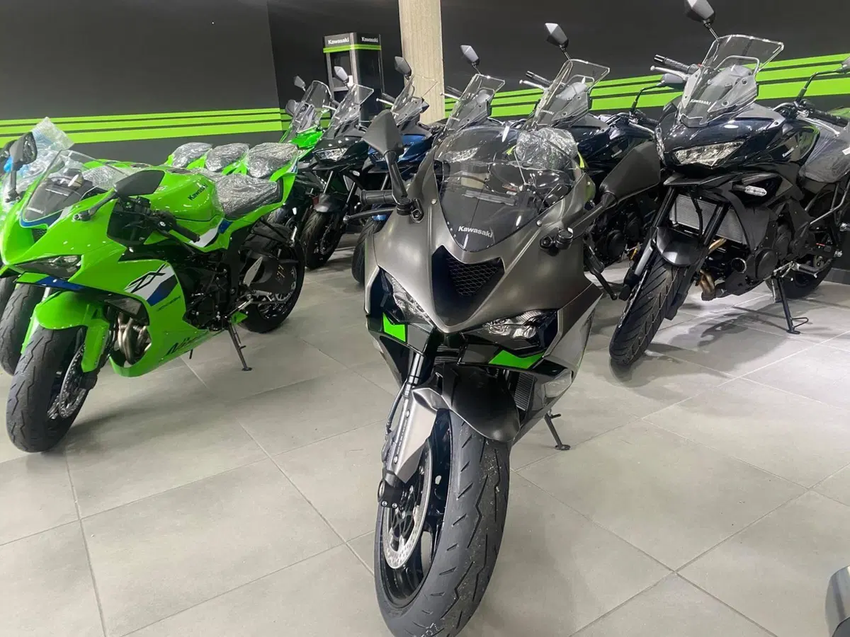 Kawasaki Ninja 636 ZX-6R (2024 - 26) (3)