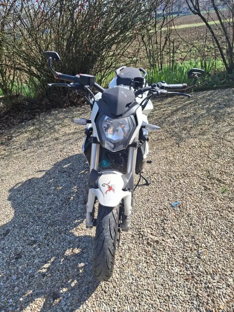 Benelli BN 125 (2021 - 25) (2)