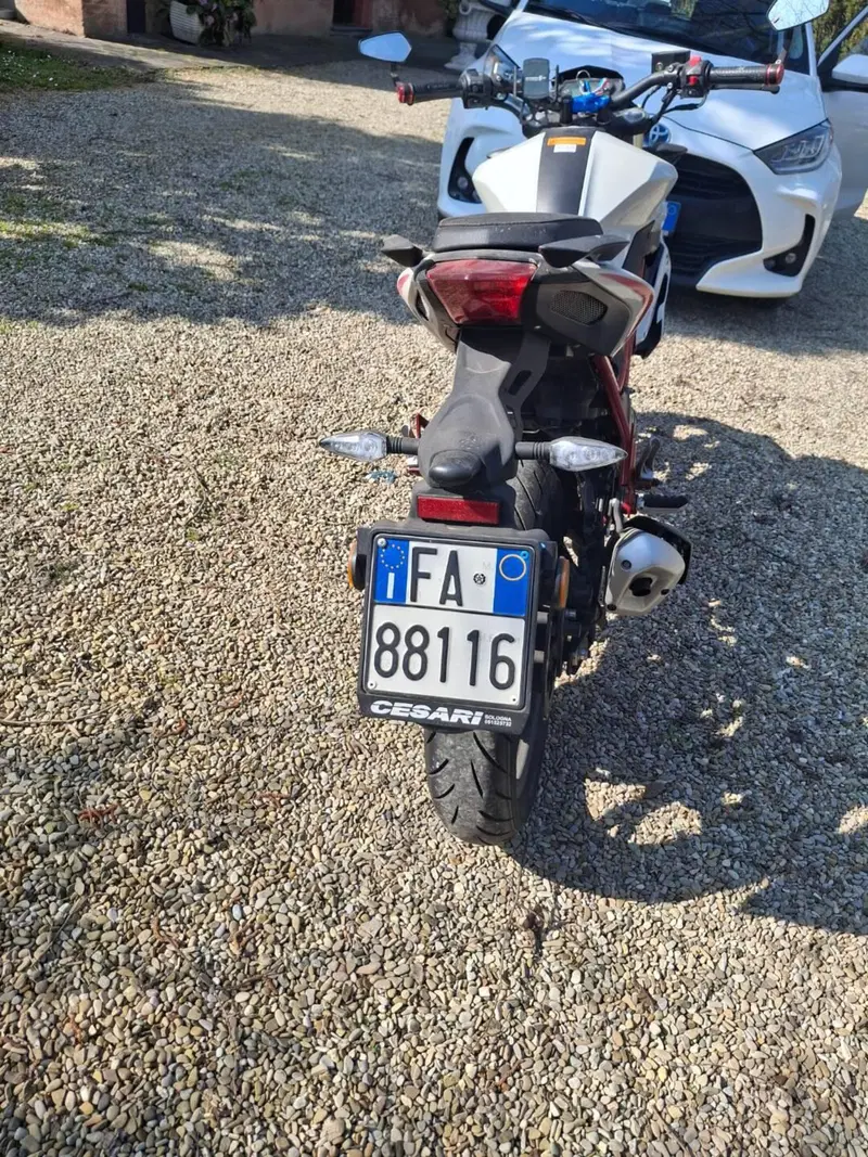 Benelli BN 125 (2021 - 25) (4)