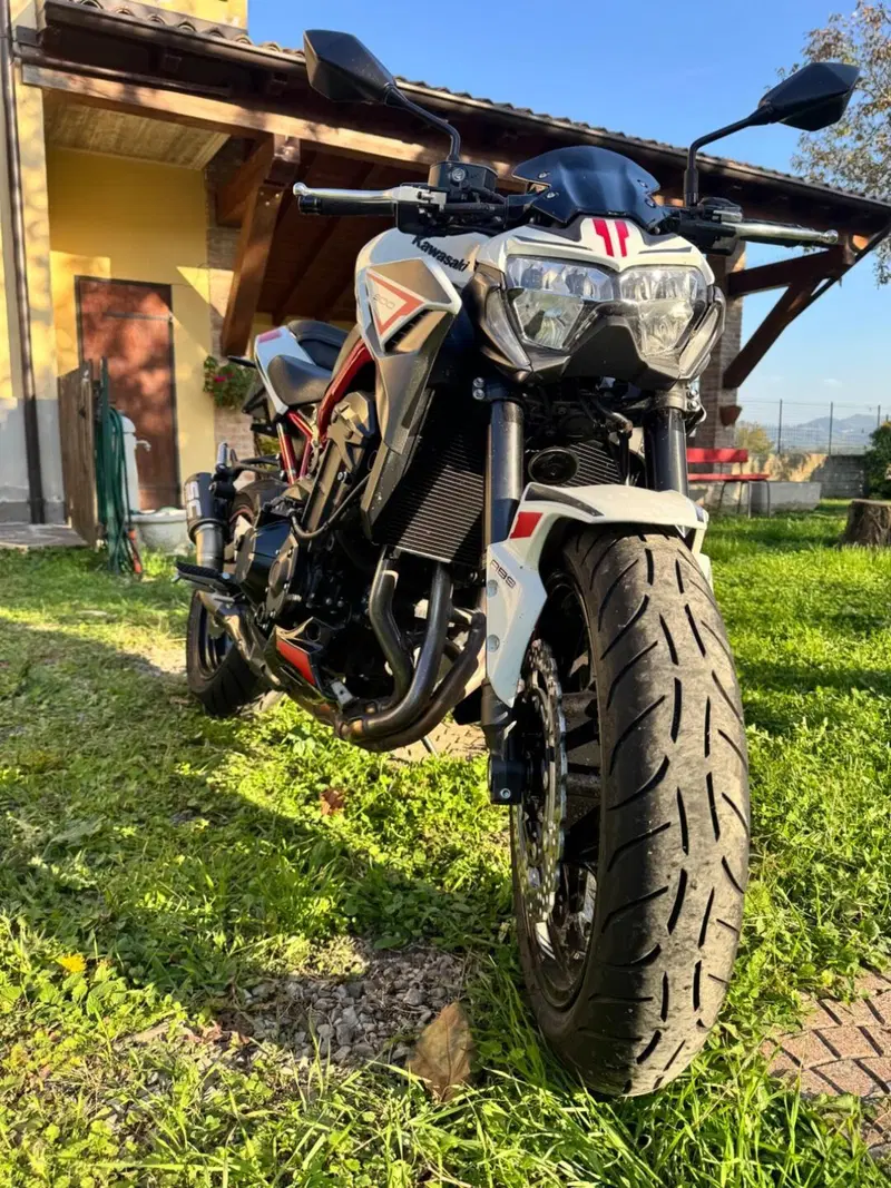 Kawasaki Z 900 (2021 - 24) (6)