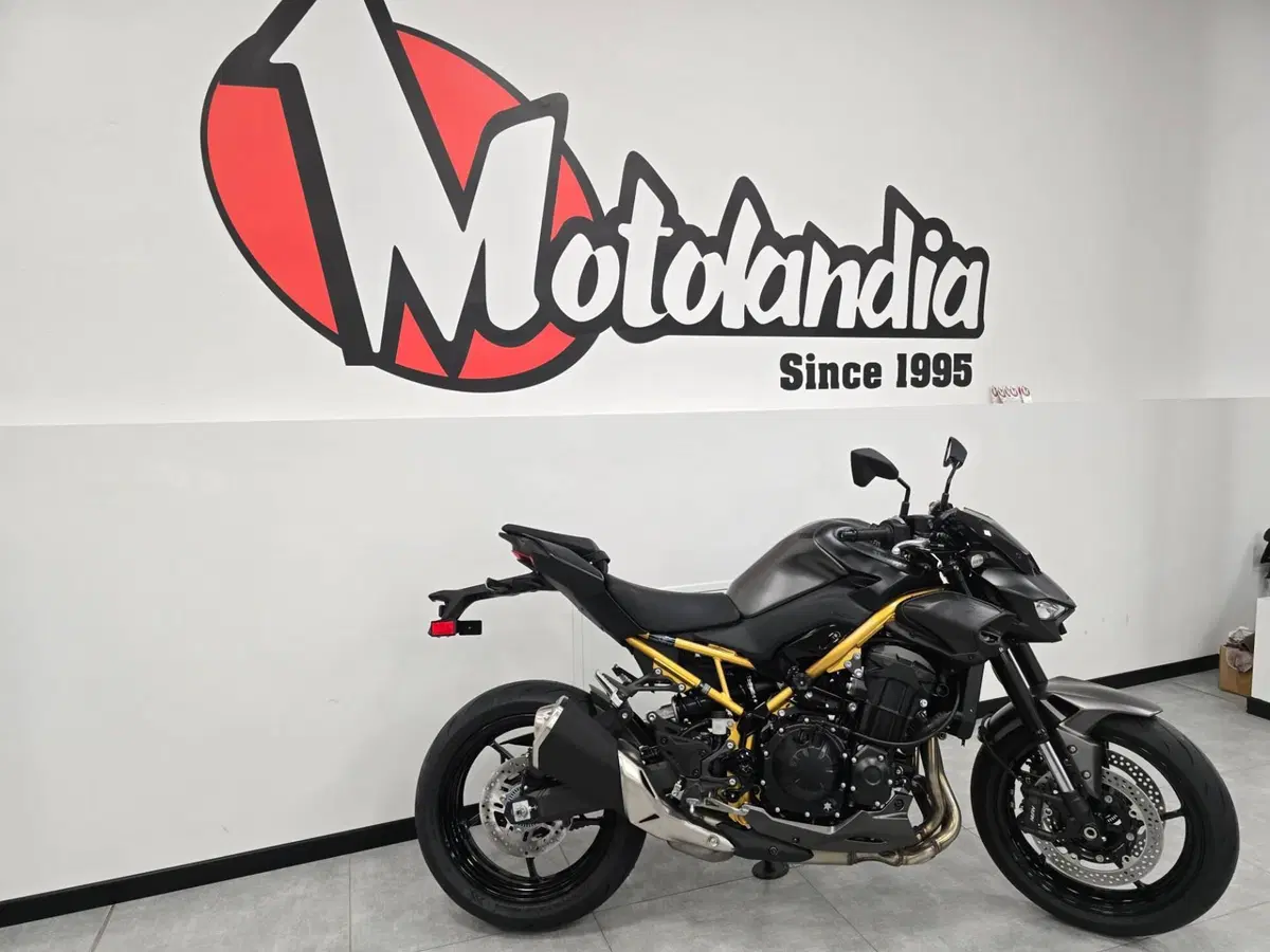 Kawasaki Z 900 (2025 - 26) (3)