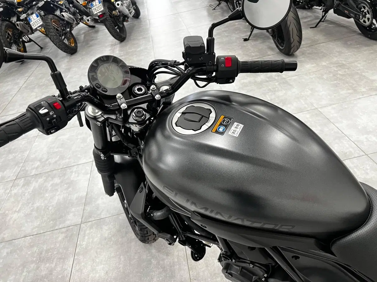 Kawasaki Eliminator 500 SE (2024 - 26) (3)