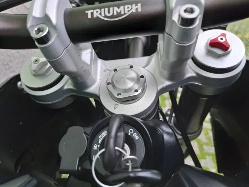 Triumph Tiger 800 XCx (2015 - 17) (7)