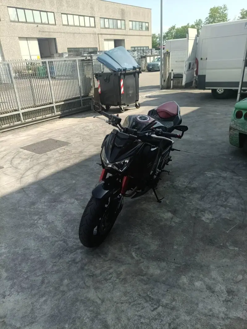 Kawasaki Z 800 Sugomi Edition ABS (2016) (2)