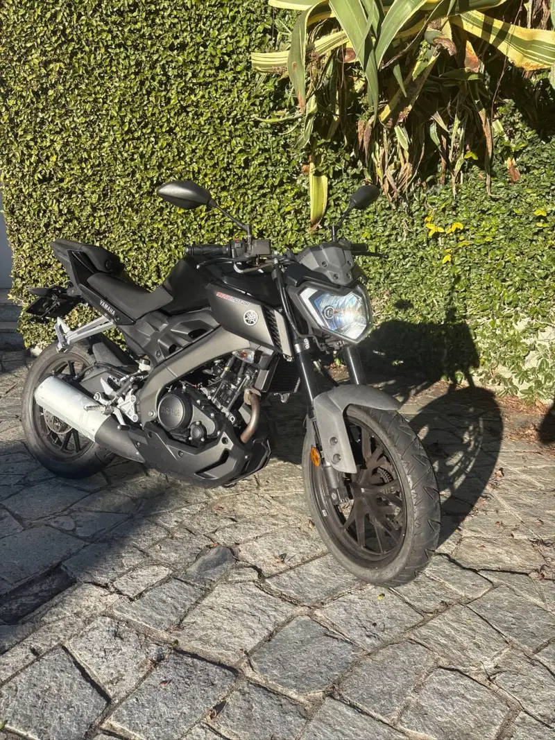 Yamaha MT-125 ABS (2017 - 19) (2)