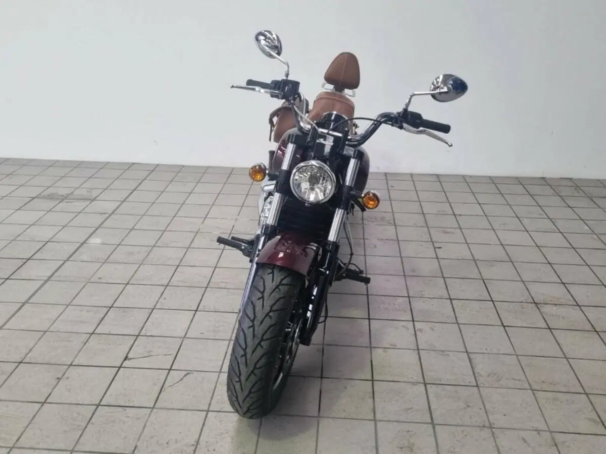 Indian Scout 1133 (2020) (2)