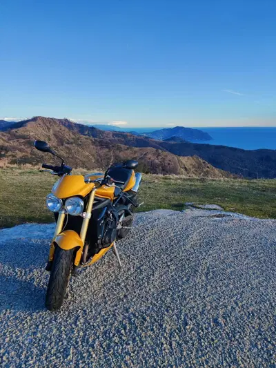 Triumph Street Triple (2007 - 12) usata