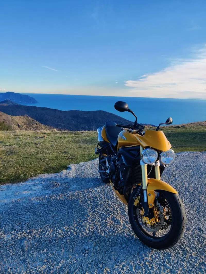 Triumph Street Triple (2007 - 12) (2)