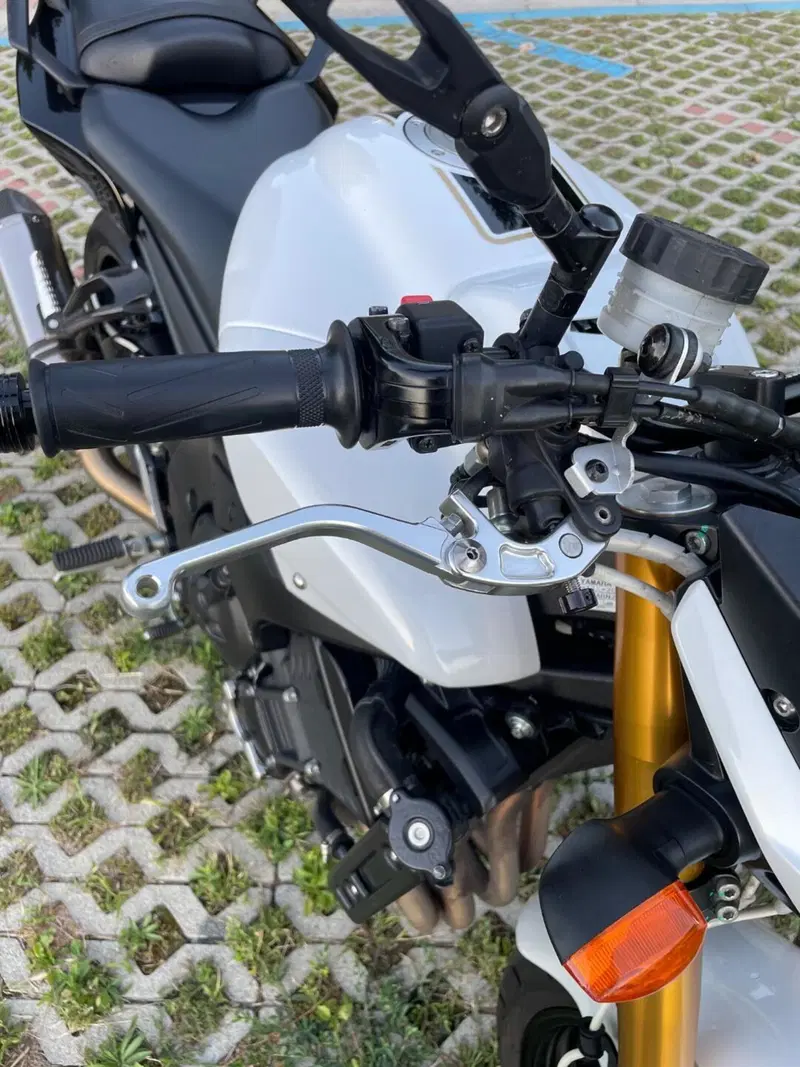 Yamaha FZ8 (2013 - 16) (6)