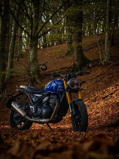 Triumph Speed 400 (2024 - 26) usata