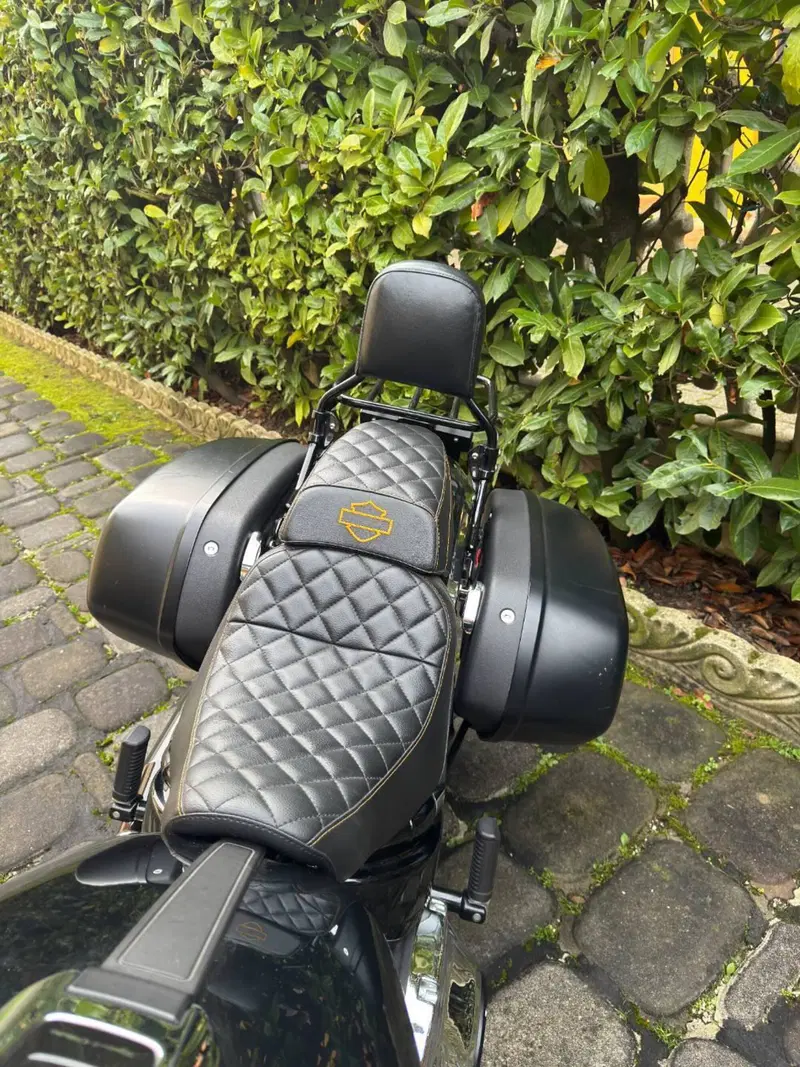 Harley-Davidson 107 Sport Glide (2018 - 20) (4)