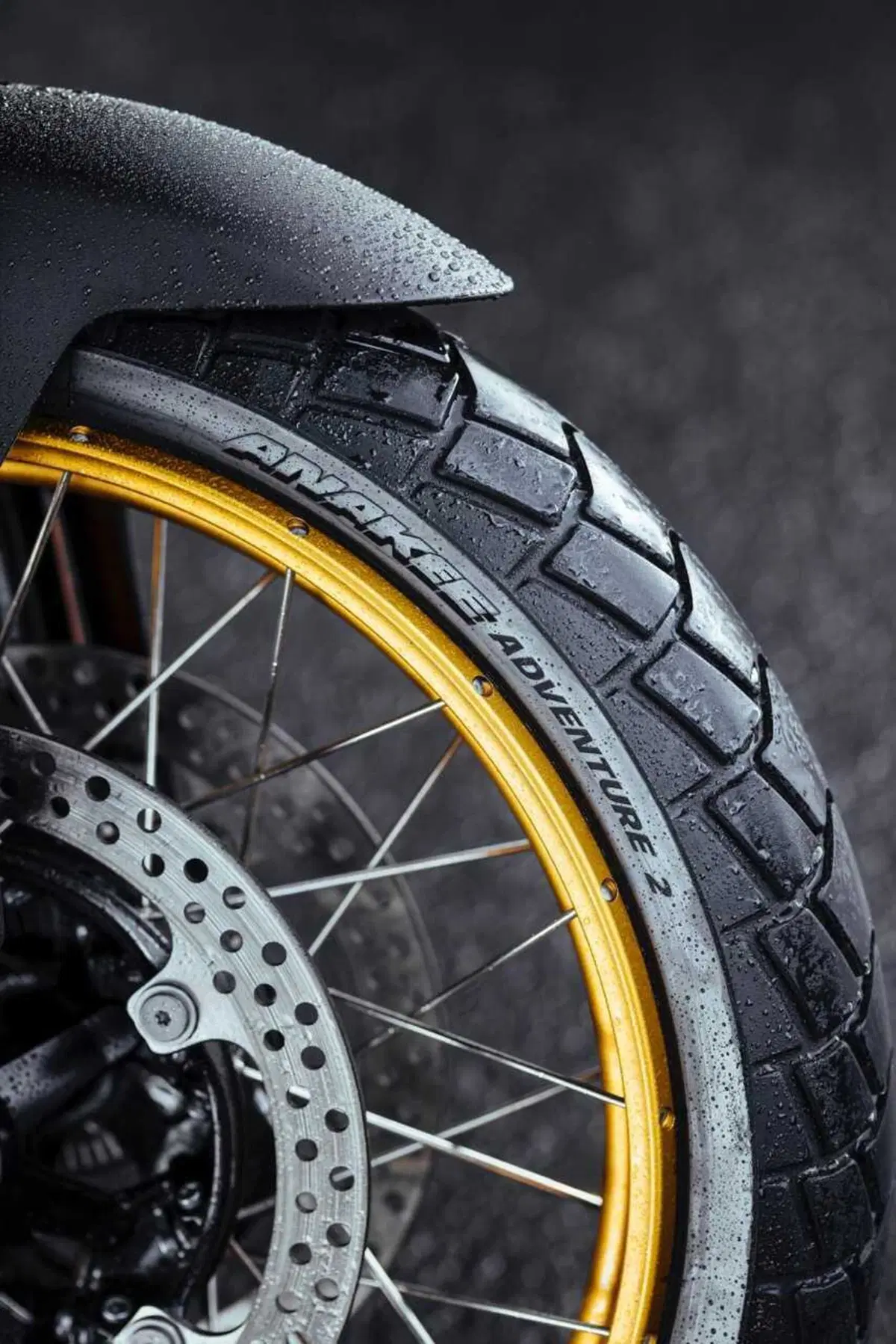 Nuovo Michelin Anakee Adventure 2: scheda tecnica, caratteristiche, disponibilità e cosa cambia (22)