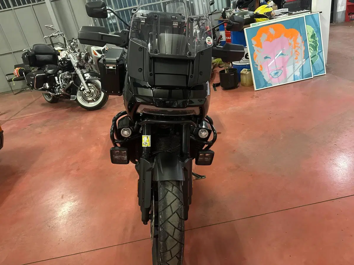 Harley-Davidson Pan America 1250 (2020 - 25) (9)