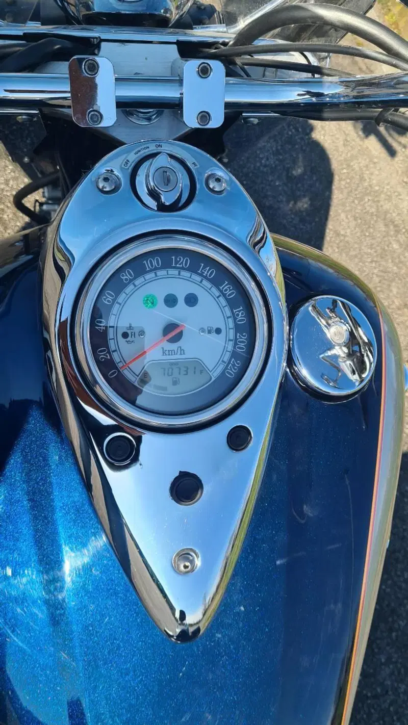 Kawasaki VN 1600 Classic (2)