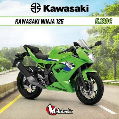 Kawasaki Ninja 125 (2025 - 26) usata